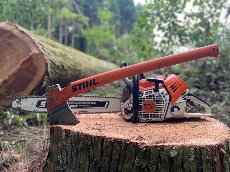 伐採作業の写真